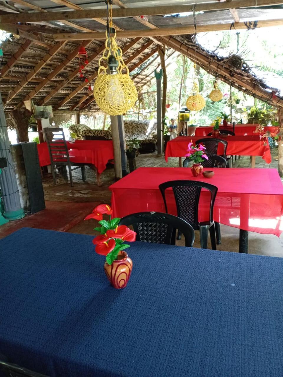 Near The Canal Homstay Sigiriya Exterior photo